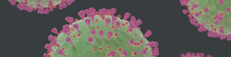 SARS-Cov2 Image
