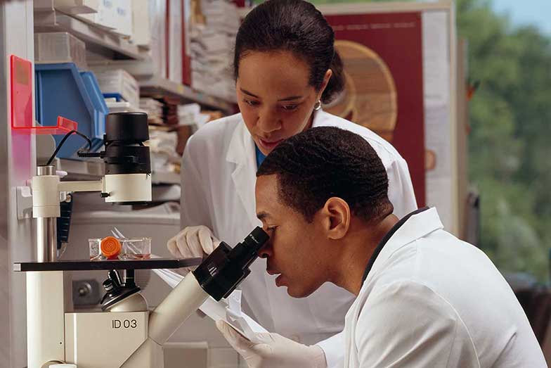 Bio Researcher Looks Through A Microscope While Another Researcher Looks On 784