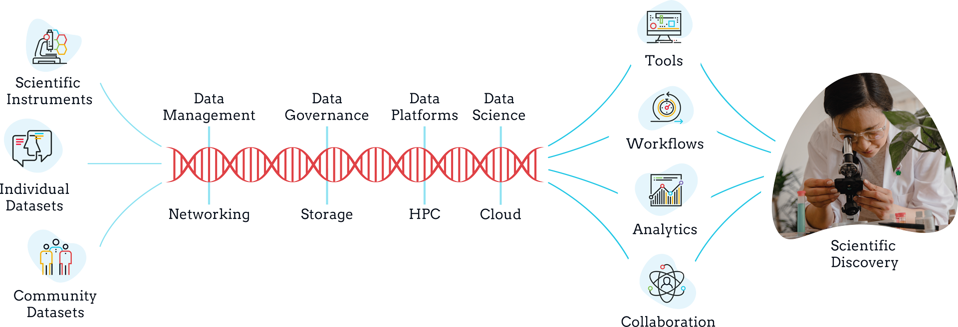 Bioteam Infographic Scientific Data Ecosystems