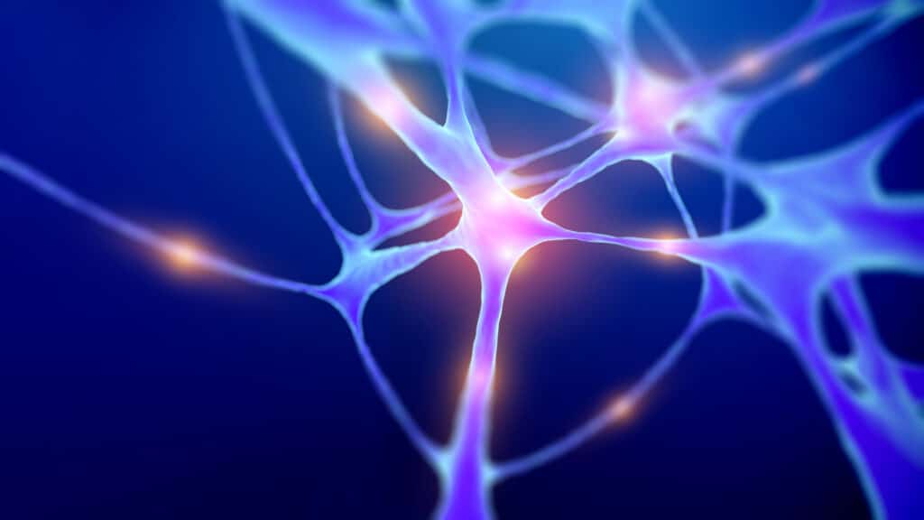 Human Neuron Structure And Anatomy Science Background. Exploring Neurons Brain And Synapse. Artificial Neurons Scientific Background