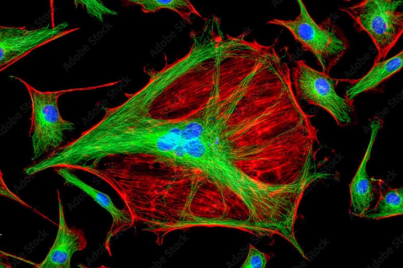 Molecules Under Microscope 784